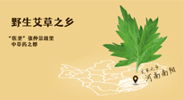 艾草越嫩越好，還是越久越好？悄悄告訴你：艾草這樣用，效果最好！
