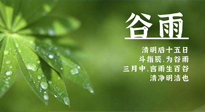 【二十四節(jié)氣灸】谷雨時(shí)節(jié)，用艾為您的健康加上一道保險(xiǎn)！