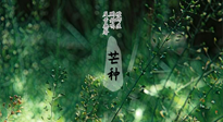 【二十四節(jié)氣灸】芒種節(jié)氣，培土補(bǔ)脾、養(yǎng)陰生津！艾灸這些穴位事半功倍！