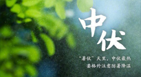 【三伏養(yǎng)生】至熱中伏，吃三樣，喝三樣，三大禁忌千萬別犯，小心落下病根！