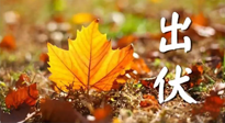 【三伏養(yǎng)生】出伏后做好養(yǎng)生很關(guān)鍵！一行要注意！