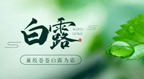 【二十四節(jié)氣灸】白露涼爽，養(yǎng)心肝脾胃、滋陰潤(rùn)肺是關(guān)鍵！