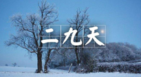 【三九養(yǎng)生】冬二九，扶陽補腎氣，讓你陽氣充足一整年！