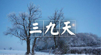 【三九養(yǎng)生】冬三九，三九第三灸，一年中最后艾灸黃金9天！
