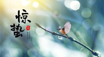 【二十四節(jié)氣灸】驚蟄節(jié)氣，艾灸喚醒抵抗力、補(bǔ)充陽(yáng)氣的最好時(shí)機(jī)！