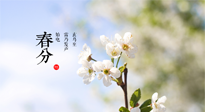 【二十四節(jié)氣灸】春分，平分了大地晝夜；艾灸，平衡了身體陰陽(yáng)！