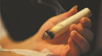 【艾灸知識(shí)】春暖花開(kāi)，衣衫漸薄，再不減肥，身上的肉肉可藏不住了！
