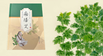 【行業(yè)資訊】國(guó)內(nèi)首部艾草專(zhuān)著《南陽(yáng)艾》，在南陽(yáng)新書(shū)首發(fā)！