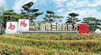【行業(yè)資訊】南陽一個值得三顧的地方！“丹江水”“仙草艾”成為 “南陽禮物”新爆款！