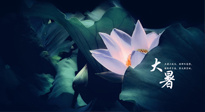 【二十四節(jié)氣灸】趁大暑好好艾灸，才不辜負(fù)三伏天的驕陽(yáng)！