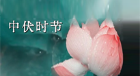 【艾灸三伏天】中伏：三伏灸的關(guān)鍵轉(zhuǎn)折點(diǎn)！“灸”除病根的大好時(shí)機(jī)！