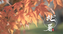 【二十四節(jié)氣灸】處暑，冬病夏治倒計(jì)時(shí)！秋涼真的要來(lái)了！