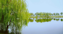 【艾灸知識(shí)】春三月，必艾灸穴位：疏肝理氣，養(yǎng)血調(diào)神！
