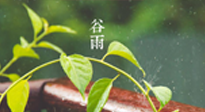 【二十四節(jié)氣灸】谷雨節(jié)氣脾土濕，艾灸降濕濁，脾旺不受邪！
