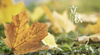 【節(jié)氣養(yǎng)生】甲辰立秋，“2做”、“2不做”，護(hù)好我們身體的正氣，預(yù)防外邪的侵襲！