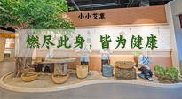 【艾草知識】小小艾草，渾身是寶，一生燃盡此身，皆為健康！